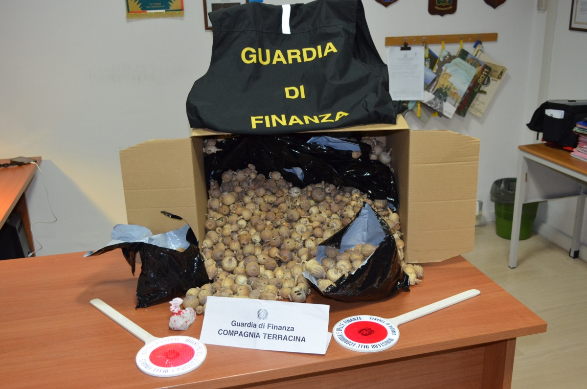 La droga sequestrata dalle Fiamme Gialle