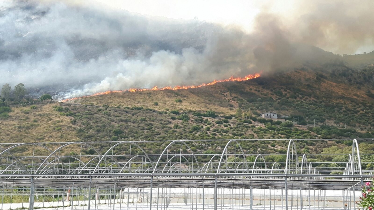 L'incendio in corso a Barchi