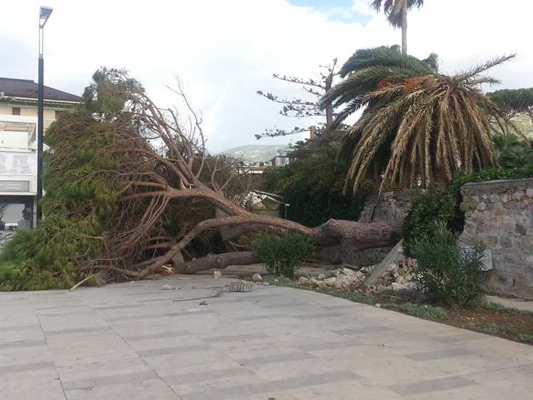 Tornado-1.jpg