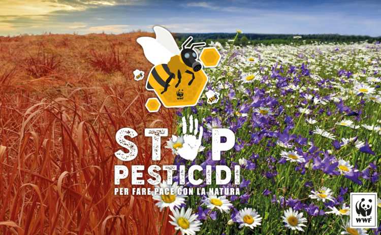 stop-pesticidi.jpg