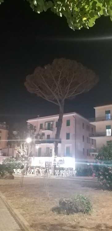 PINO-SECCATO-GIARDINI-DI-LEVANTE---BATTAGLIONE-ZARA-8.jpg