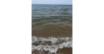 mare-invaso-da-residui.jpeg